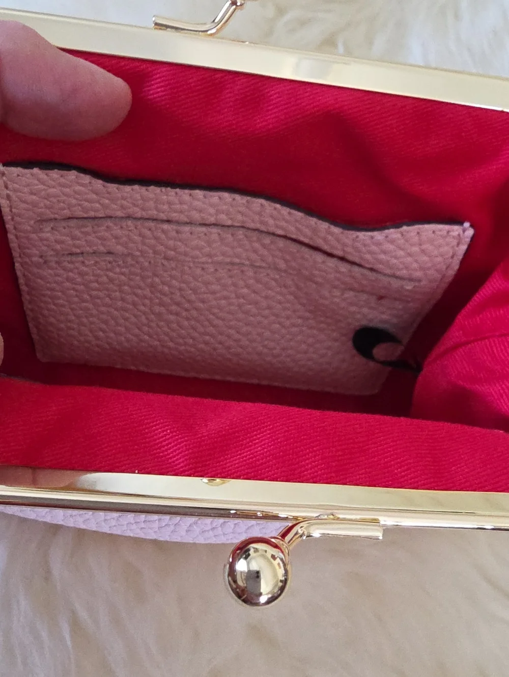 NWT Dooney & Bourke Pink Blush Leather Large Kiss-Lock Framed Purse 🩷💋🎁